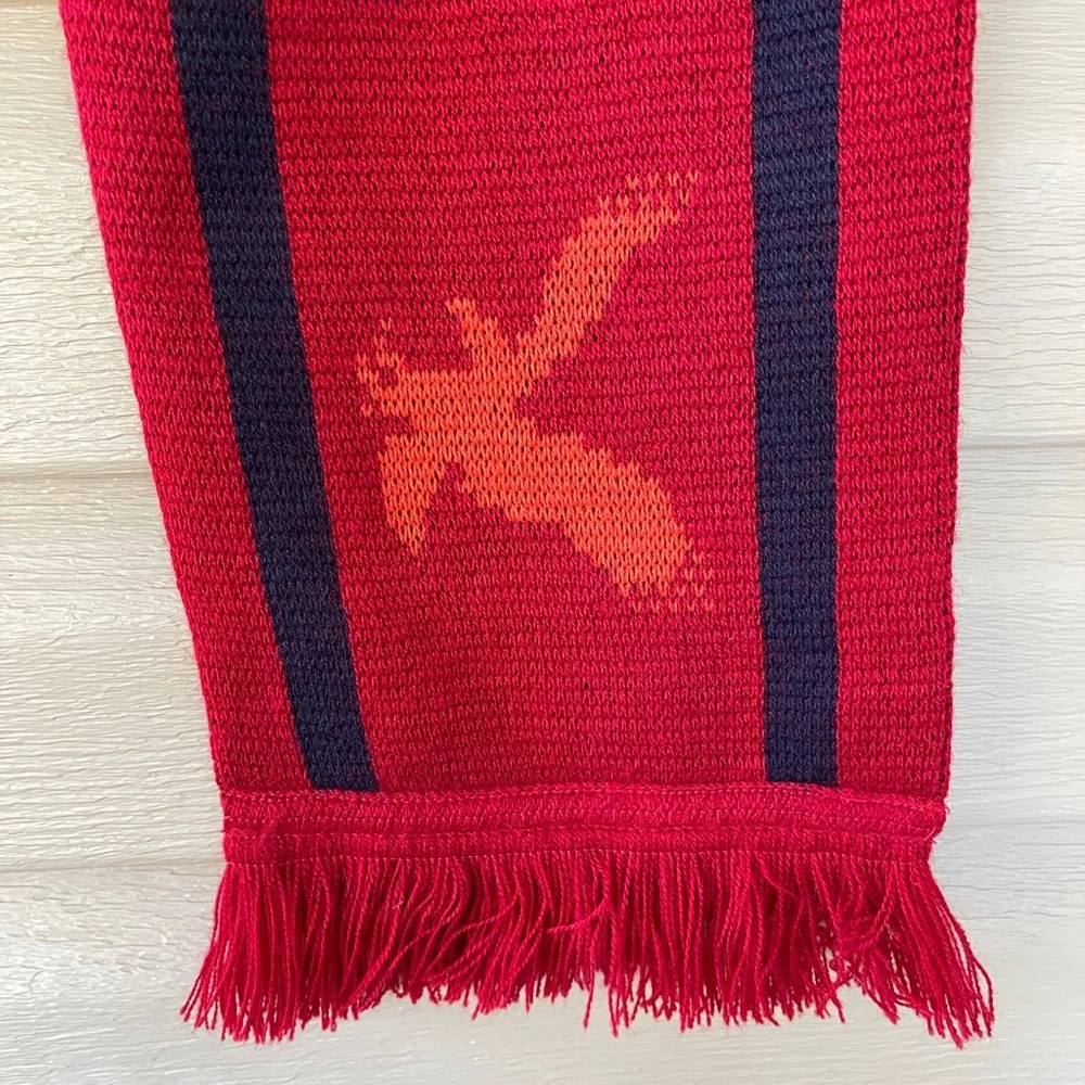 American Eagle Outfitters Red and Navy Blue Scarf